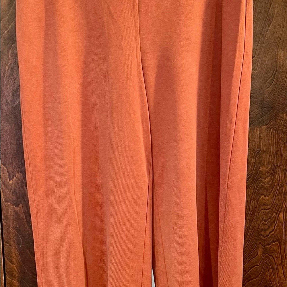 LOFT Terracotta color  Wide-Leg Pants - Picture 4 of 4